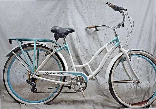 2020 Schwinn Point Break Cruiser Bike 18" Large Steel Cafe Commuter Step-Thru :)