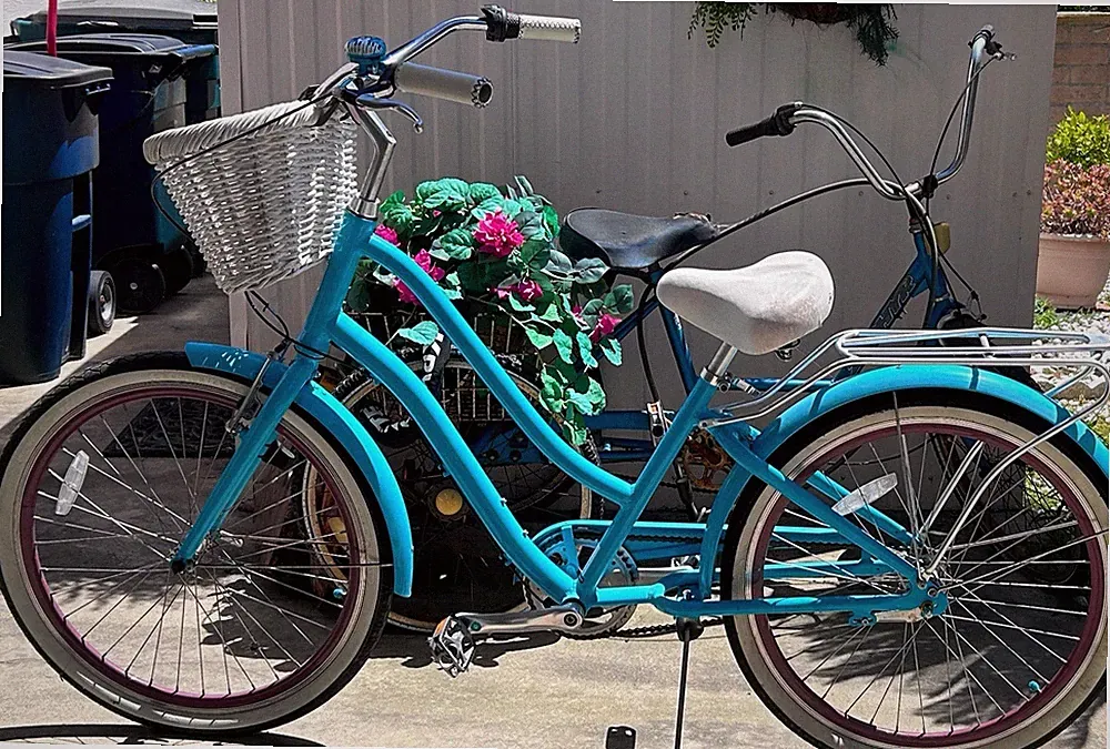 Evryjourney Women Beach Cruiser 3 Speed Step-Through Touring Hybrid Bicycle 26"